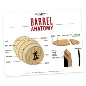 Barrel Anatomy